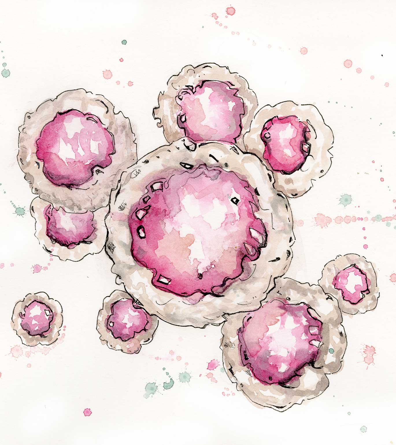 Best Stem Cell Skin Care & Haircare - Calecim Professional